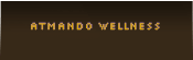 Atmando Wellness